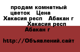 продам комнатный цветок › Цена ­ 220 - Хакасия респ., Абакан г.  »    . Хакасия респ.,Абакан г.